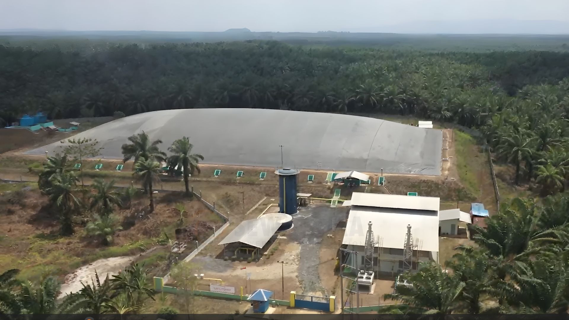 Powering the Grid: Converting Palm Oil Effluent into Electricity