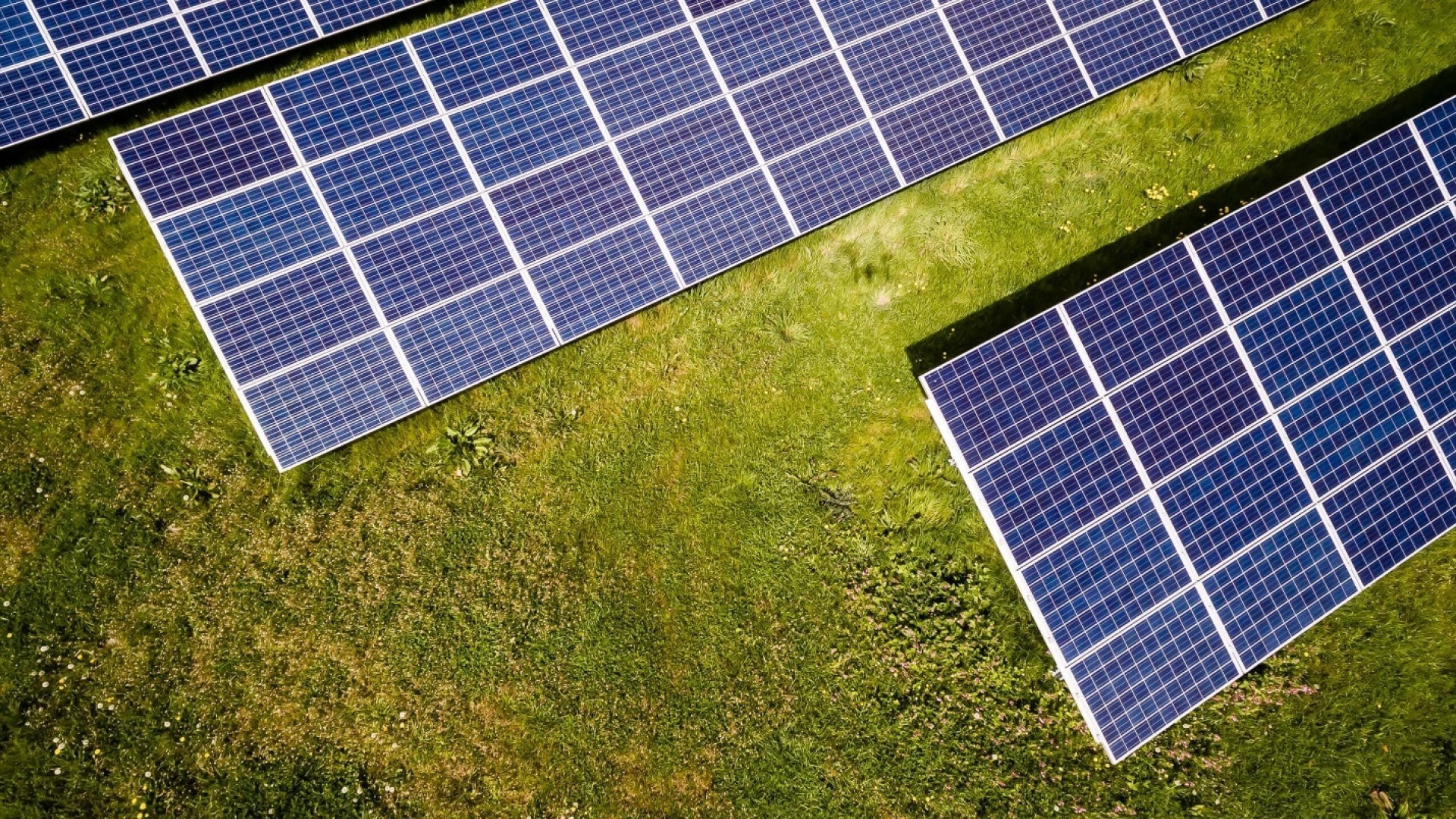 Pilih Perusahaan Terpercaya Pasang Solar Panel